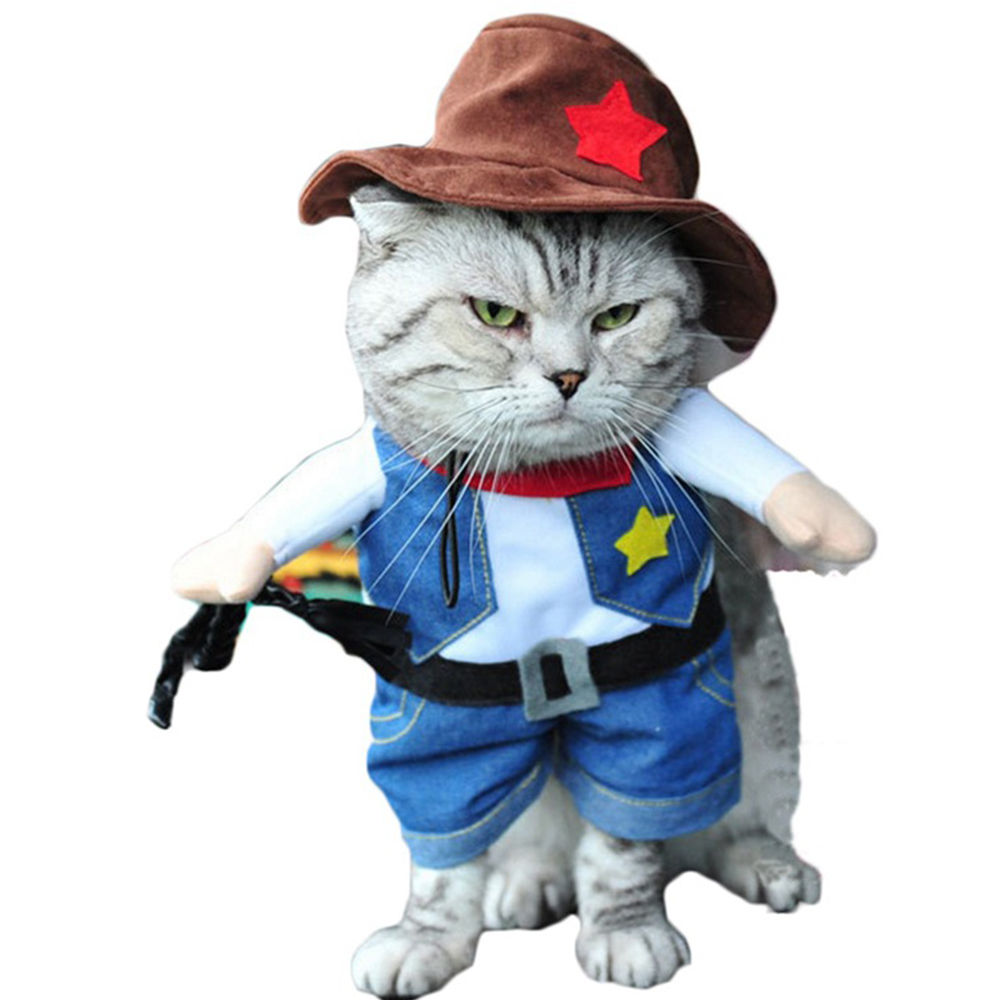 1) Jenks the Cowboy